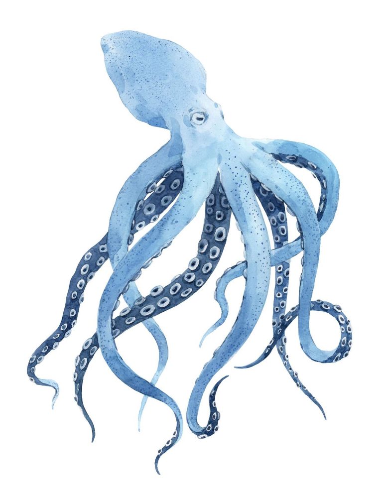 Beautiful underwater watercolor blue octopus stock illustration.